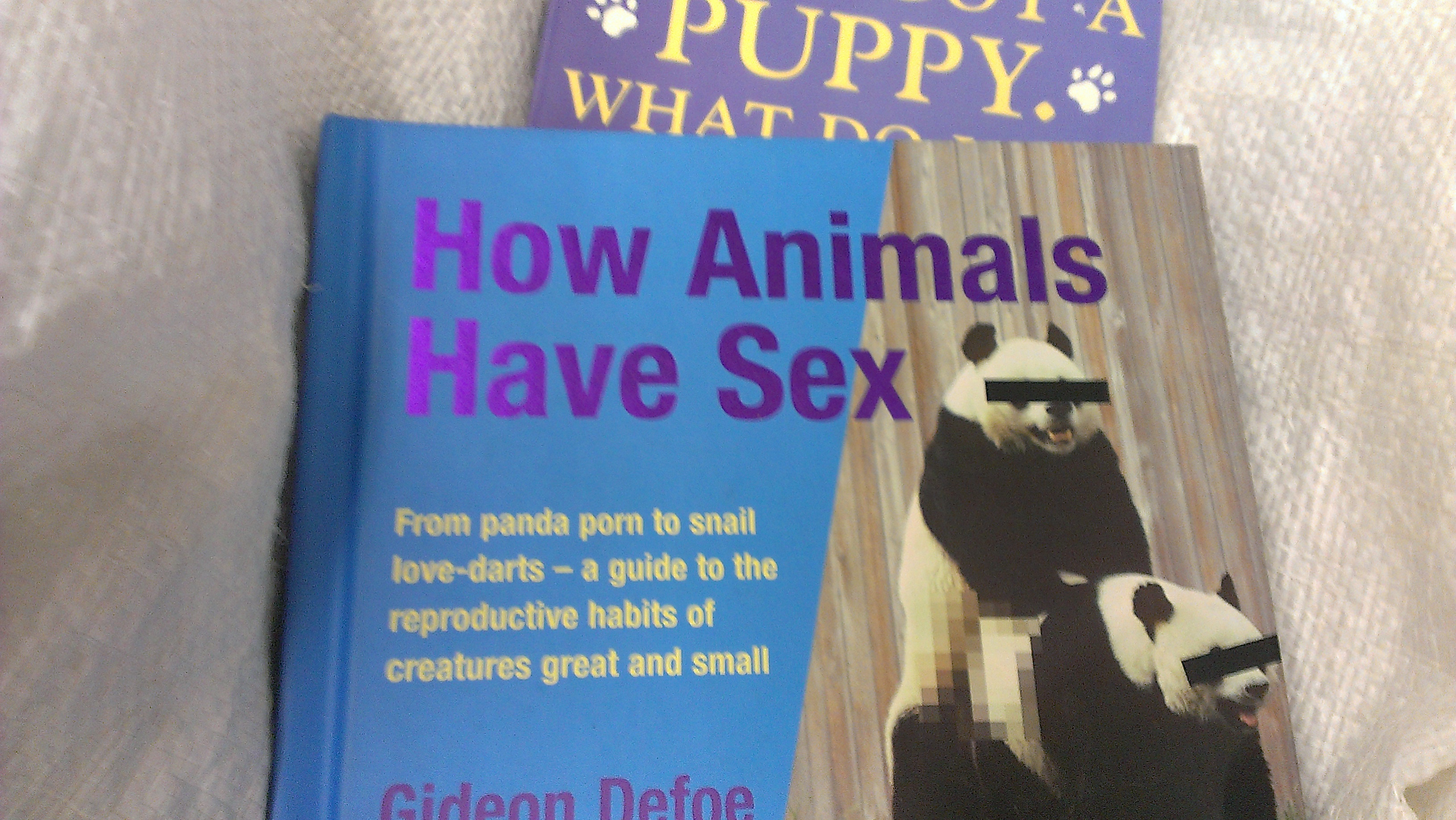 Animal Sex book
